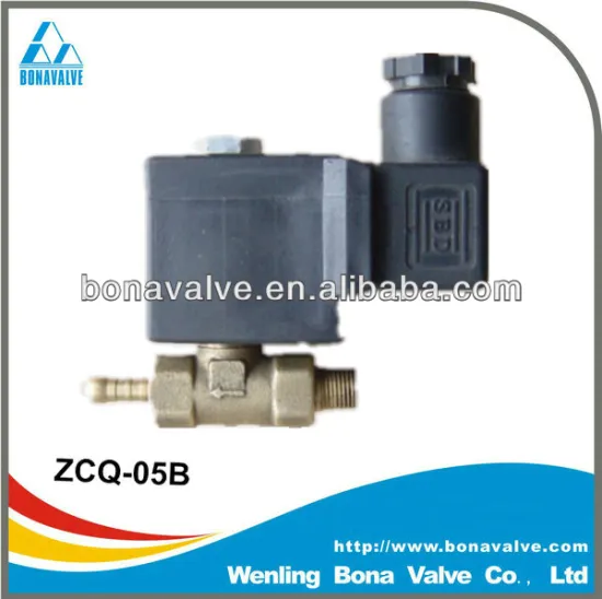 Steam Valve for Mini Steam Boiler (ZCQ-05B)