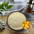 High Quality Prickly Pear Powder for Daily Use