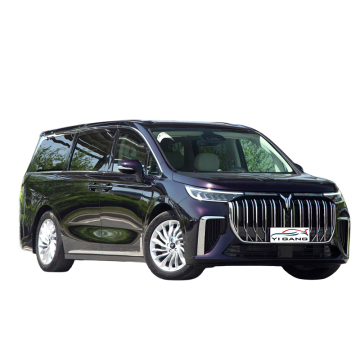 Electric MPV: Voyah Dreamer - 7 Seale New Energy Minivan