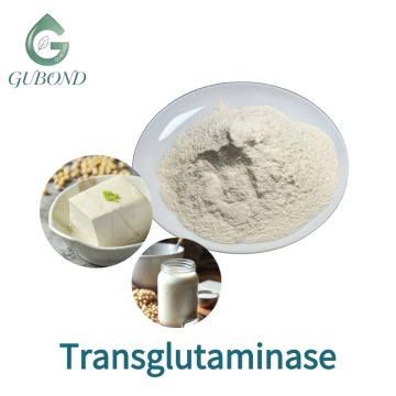 مسحوق Transglutaminase (TG Enzyme) لربط البروتين المتقاطع والملمس الغذائي