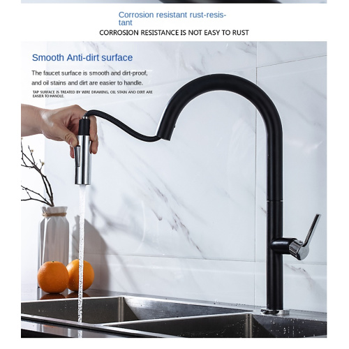 Contemporary black Stainless Steel kitchen faucet