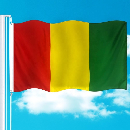 double stitched custom countries banner Guinea flags