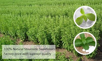 Stevioside