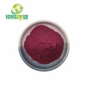 Black Currant Extract Powder