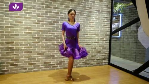 Adult female Latin dance dress purple fringed dress costume