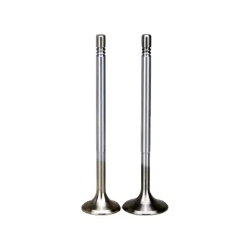 TD25 Engine Assembly and Auto Intake/Exhaust Valves - 13201-44G00 13202-44G00