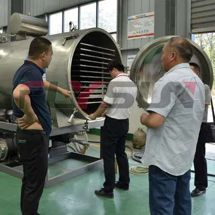 Industrial Freeze Dryer Machine for Food Candy Freeze Drying Equipment