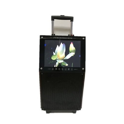 High power wooden rechargeable Led Display Trolley Speaker