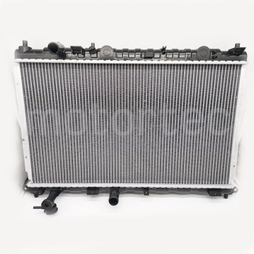 Original Auto Spare Parts Supplier: Radiator 10080591 for MG3 and ROEWE 350 Water Tank