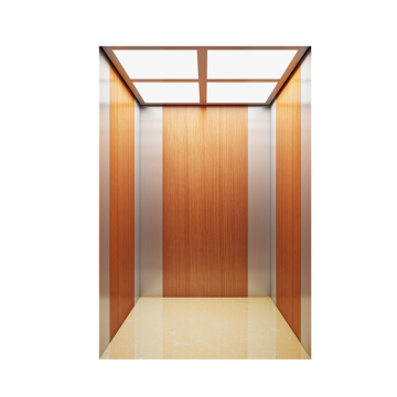 MR MRL Residential Outdoor Elevator Lift Equipment