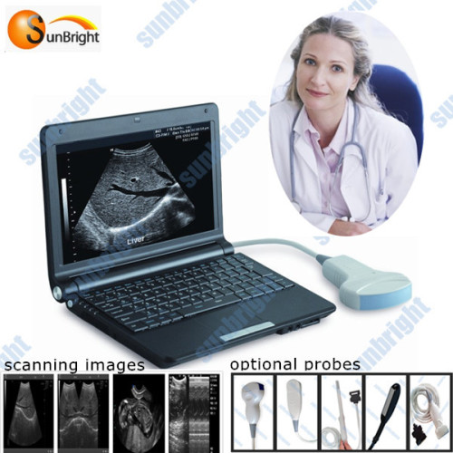 Linear Ultrasound Probe For Thyroid For Prostate, High Quality Linear