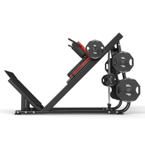 Hack Squat Leg Press Strength