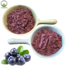 Blueberry extract powder proanthocyanidins in bulk