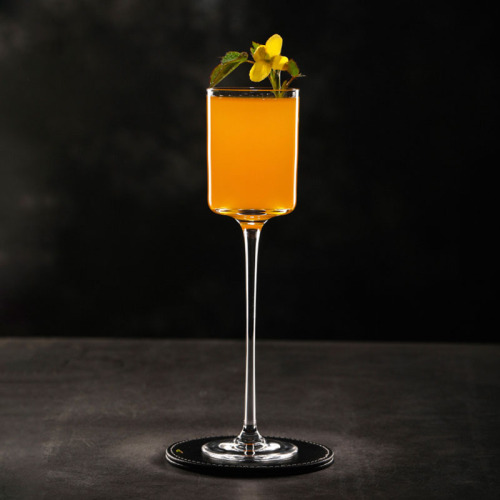 Ato Japanese Crystal Classical Stemware Champagne Glass,