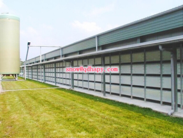 Full Set Automatic Equipment for Layer and Broiler with Prefabricated House