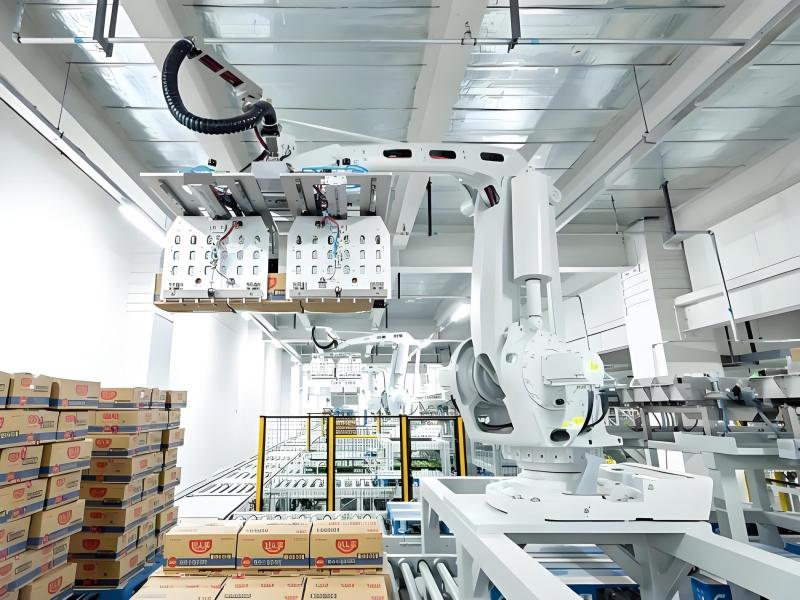 Palletizing Robot1