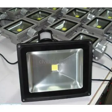 LED induction  floodlight 10W