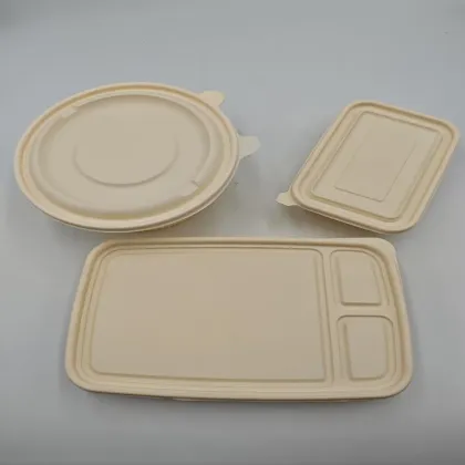 PP Plastic Disposable Ready Meal Packaging Box