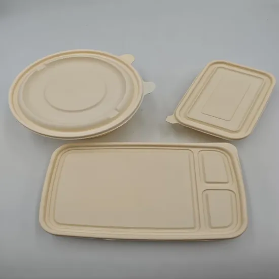 PP Plastic Disposable Ready Meal Packaging Box