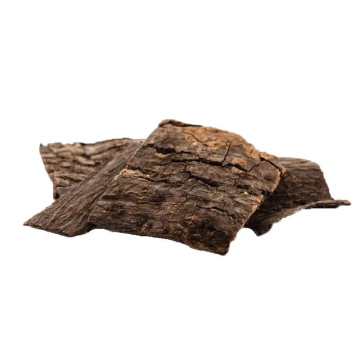 Core Active Components Organic Eucommia Bark Extract