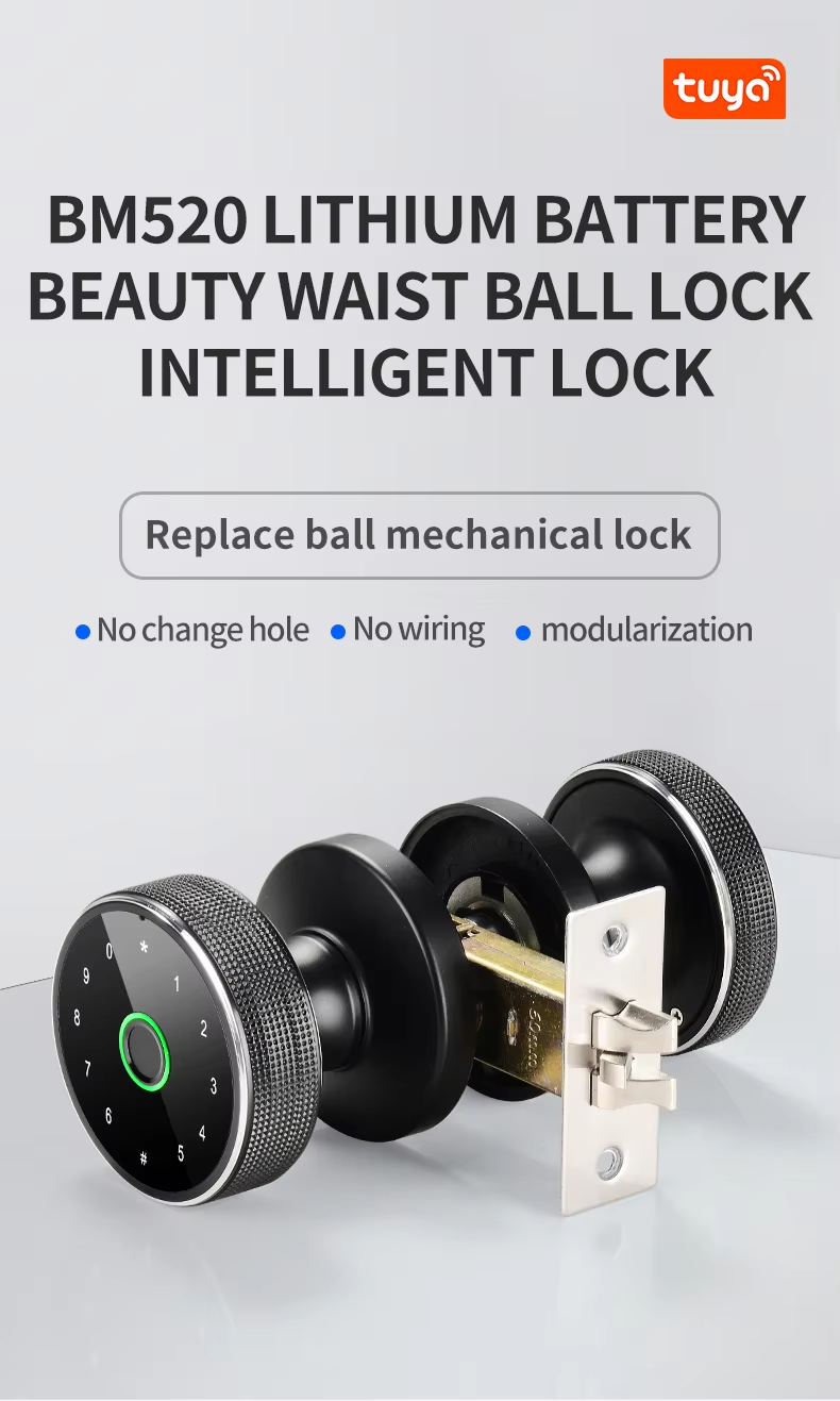 10  Interior Door Knob 