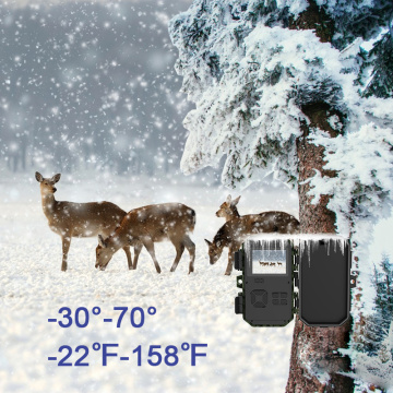High-Definition Wireless Wildlife Camera with Night Vision