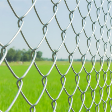 Recinzione a rete zincata a ciclone da 8 piedi e 6 piedi