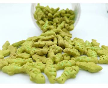 Biscotti per gatti, cibo in scatola, bastoncini per denti ed erba di menta: nutrizione completa di gatti