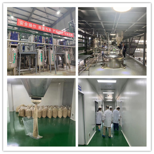 Top Quality Fritillariae Cirrhosae Essential Extract Food Additive for Nutrition