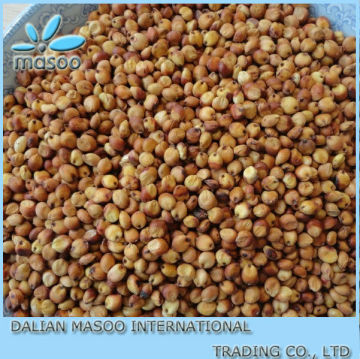 New Crop Sweet sorghum seed 2013