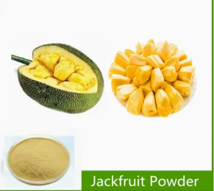100% Pure Organic Jackfruit Extract Powder