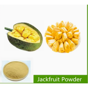 100% Pure Organic Jackfruit Extract Powder