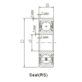 أعماق الأخدود المحامل SS6010