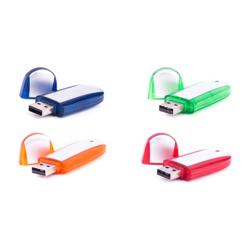 Promotion Plastic USB Flash Drive 8GB with Logo