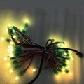 WS2811 12MM RGB LED Pixel Light String