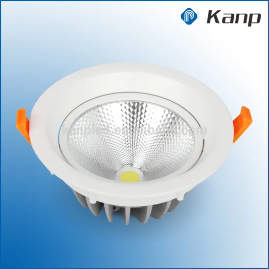 5W 10W 15W 20W High Lumen Ra 90 Adjustable COB LED Ceiling Downight