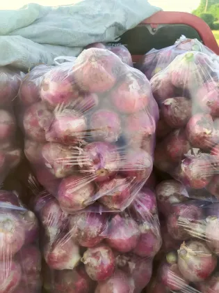 Farm Fresh Ecological Red Onion