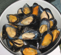 sapore naturale vendita calda cozze mezzo guscio congelate