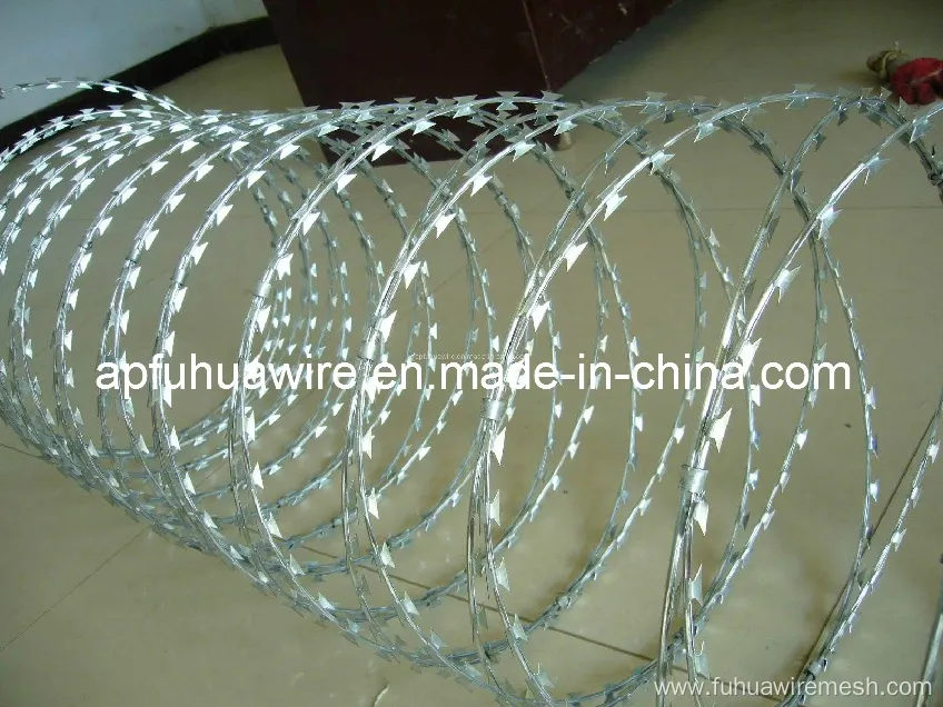 Export Good Quality Razor Wire