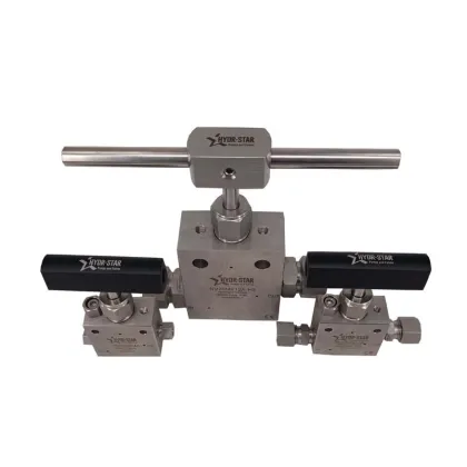 HYDR-STAR Stainless Steel High Pressure Replaceable Seat Needle Valve