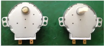 21v High Speed Synchronous motor for microwave oven