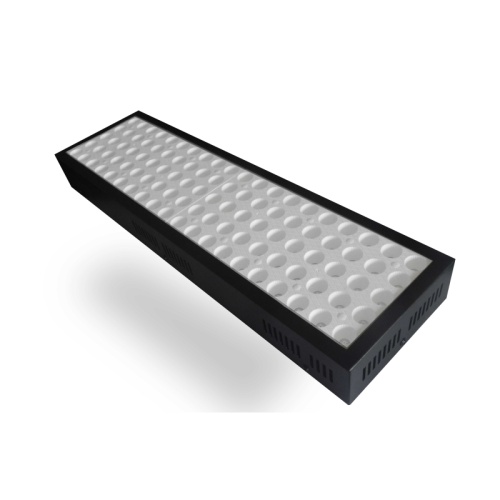 High Power Full Spectrum 300W LED Grow Light