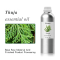 OEM 100 ٪ روغن خالص و طبیعی Thuja/ Oriental Arborvitae اسانس برای مراقبت از پوست