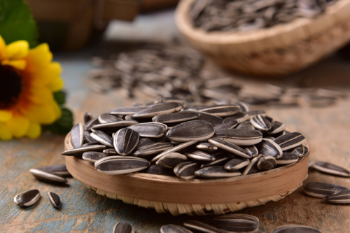 ExportTop quality Food Grade Sunflower Seeds