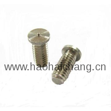 Self Tapping Screw