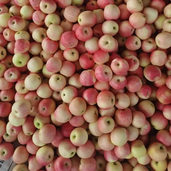 Organic Gala Apples from China, Gala Apple Wholesale