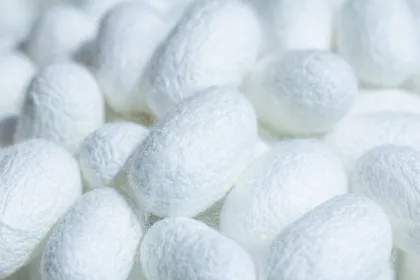 Discovering Natural Beauty: Exploring Oval Cocoon White Silk Patterns with a Natural Cocoon Opener