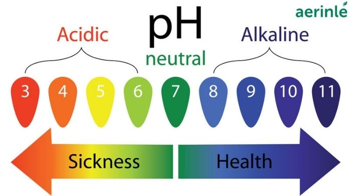 What Is Ph Balance And Importance Of Ph Balance