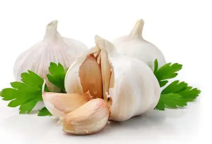Garlic Extract Powder Allicin Free Sample