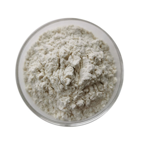 Organic Soy Protein Organic soy protein powder isolate Manufactory